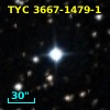 TYC 3667-1479-1