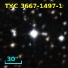 TYC 3667-1497-1