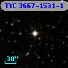 TYC 3667-1531-1