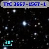 TYC 3667-1567-1