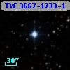 TYC 3667-1733-1