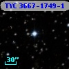 TYC 3667-1749-1