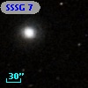 SSSG  7