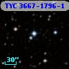 TYC 3667-1796-1