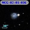 MCG-02-01-036