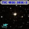 TYC 4016-1016-1