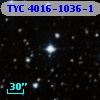 TYC 4016-1036-1