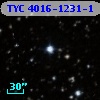 TYC 4016-1231-1