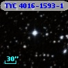TYC 4016-1593-1