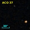 ACO    37