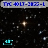 TYC 4017-2055-1