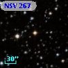 NSV   267