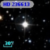 HD 236613