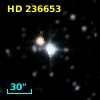 HD 236653