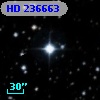 HD 236663