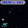 [SDG98] 1-1181