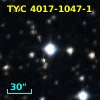 BSD   8-529