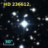 HD 236612