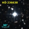 HD 236638