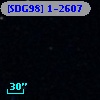[SDG98] 1-2607