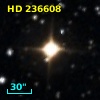 HD 236608