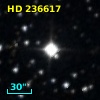 HD 236617