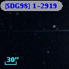 [SDG98] 1-2919