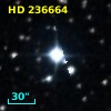 HD 236664