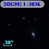 [SDG98] 1-3036