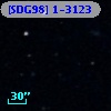[SDG98] 1-3123