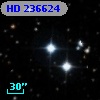 HD 236624