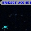 [SRM2001] ACO   85 B