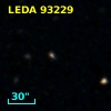 LEDA   93229