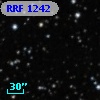 RRF 1242
