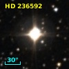 HD 236592