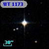 WT 1173