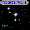 TYC 3677-782-1