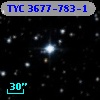 TYC 3677-783-1