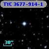 TYC 3677-914-1
