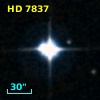 HD   7837