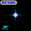 WT 1188