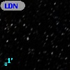 LDN 1310