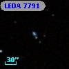 LEDA    7791