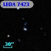 LEDA    7423