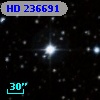 HD 236691