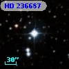 HD 236687
