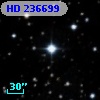 HD 236699