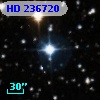 HD 236720
