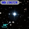 HD 236729