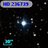 HD 236739